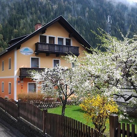 Säuleck Appartement inkl Kärnten Card Mallnitz Exterior foto